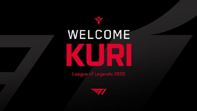 體育文化的 體育文化的