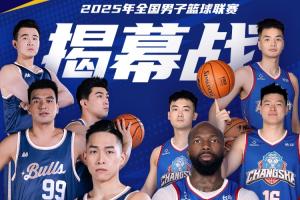 尼斯的案例